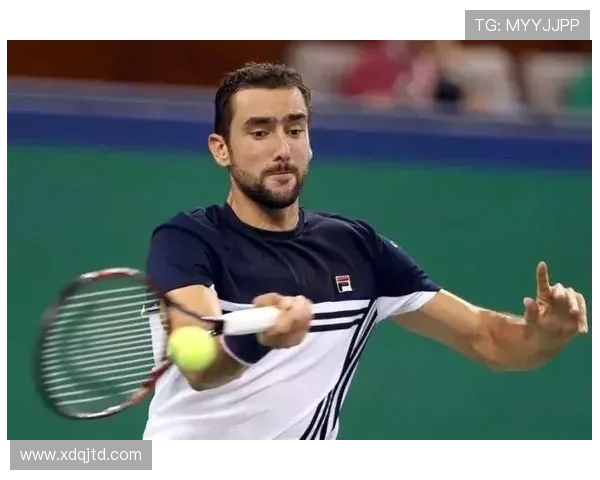 上海乒乓球队在大师赛中的奋进之路与辉煌成就回顾