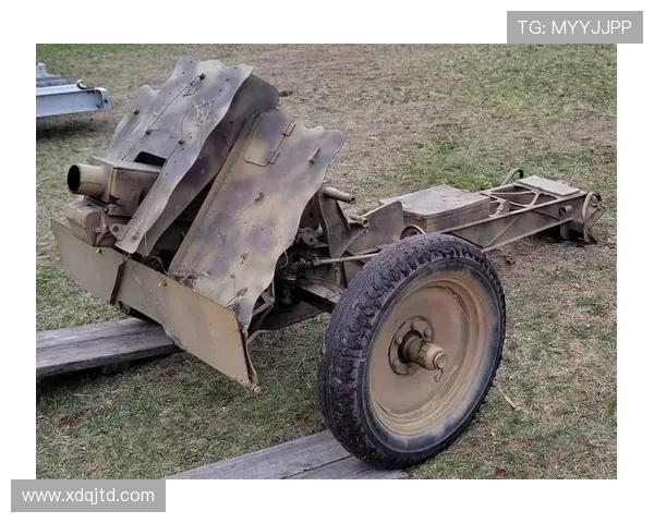 和平精英战术分析：IG快攻策略的成功与挑战解读