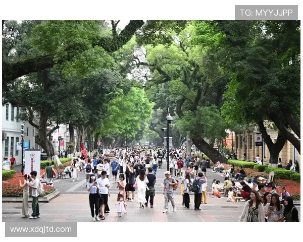 广州滑板队的中路突破之路：深度解析滑板文化与技巧的结合